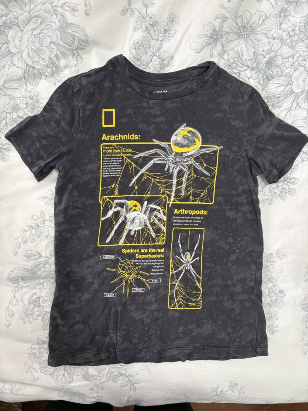 National Geographic Black Tee with Yellow & White Spider Graphics